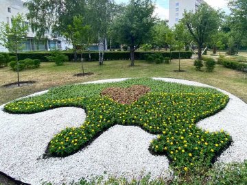 Добрі новини від ВолиньPost за 18 червня