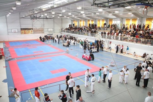 Луцькі каратисти привезли з Угорщини «золото» і «срібло». ФОТО