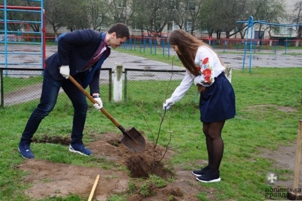 У Луцьку школярі висадили «Алею випускників». ФОТО