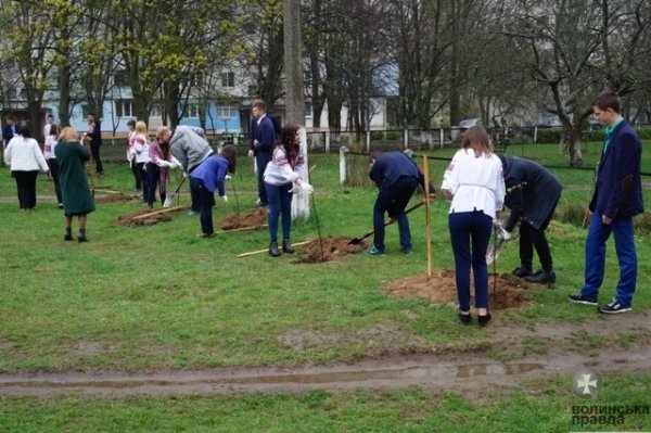 У Луцьку школярі висадили «Алею випускників». ФОТО