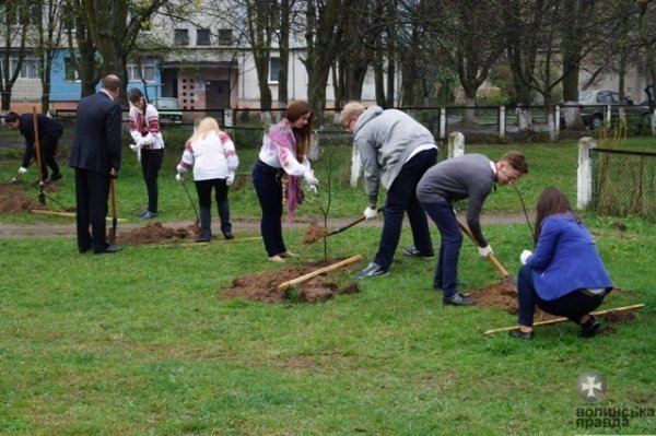 У Луцьку школярі висадили «Алею випускників». ФОТО