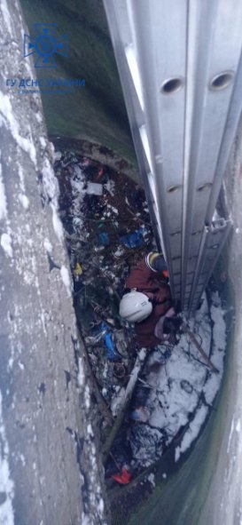 Волинські рятувальники витягнули з ями песика. ФОТО