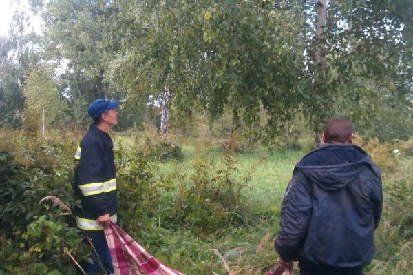 На Волині пожежники ловили мавпу і «стріляли» у неї водою. ФОТО. ВІДЕО