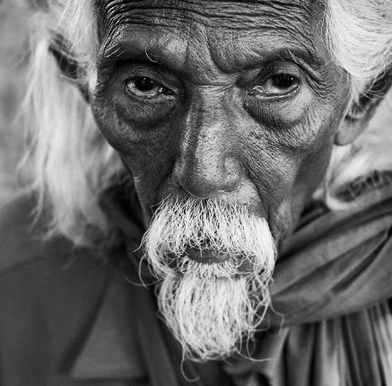 40 дивовижних портретів. ФОТО