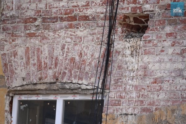 Голуби: птахи миру чи летючі пацюки. ФОТО