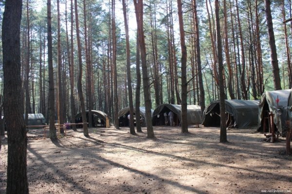 Як скаути з Польщі  відзначали на Волині ювілей. ФОТО