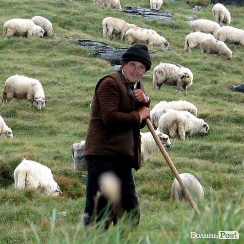 «Пасу усіх», - Пащенко про політику, журналістику та еко-фермерство. ФОТО