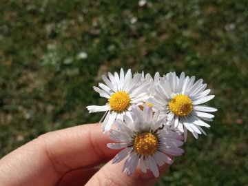 Добрі новини від ВолиньPost за 3 травня 