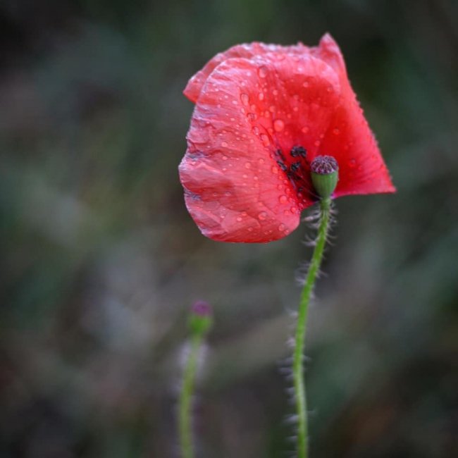 Неймовірні краєвиди природи на знімках волинської волонтерки
