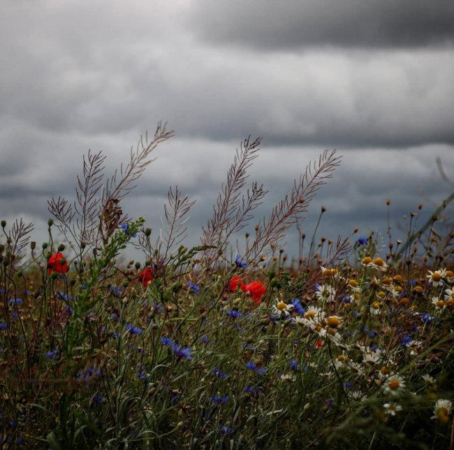 Неймовірні краєвиди природи на знімках волинської волонтерки