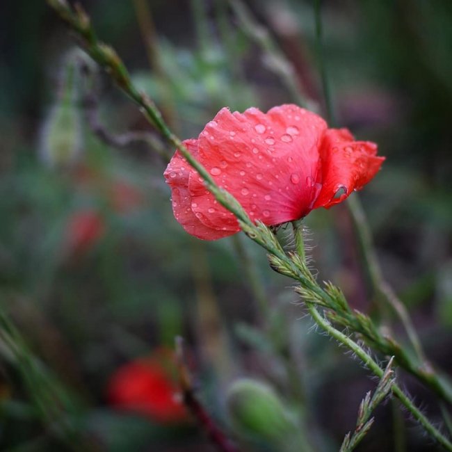 Неймовірні краєвиди природи на знімках волинської волонтерки