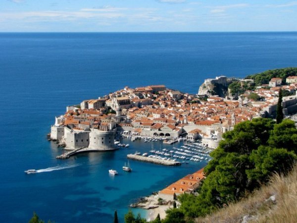 Автор Ірина Новосад 