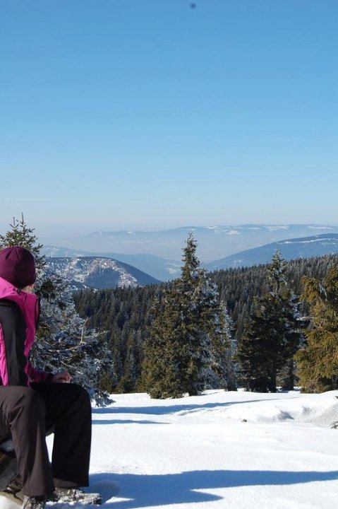 Автор  Іванна Мартинів 