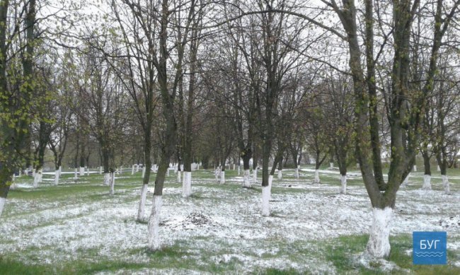 У Володимирі випав сніг