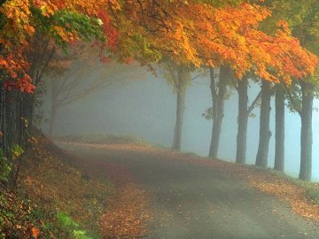 Якою буде погода в Луцьку та Волинській області на вихідні