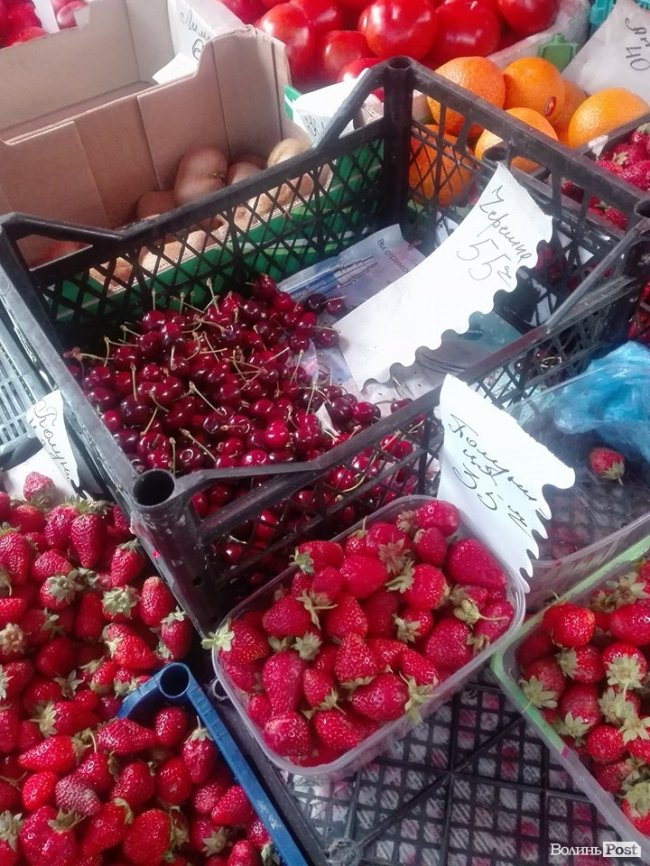 Від і до: скільки коштує перша черешня на луцькому ринку. ФОТО