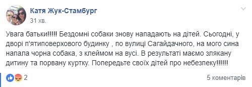 У Володимирі бездомний пес напав на дитину, – соцмережі