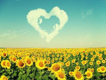 «Бавовна» у Криму, або Добрі новини від ВолиньPost за 16 серпня