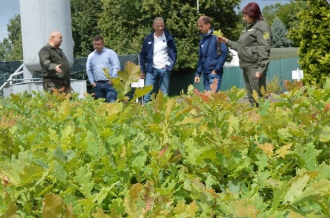 Шведська компанія відзначила досвід волинських лісівників. ФОТО