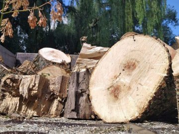 Малозабезпечені та родини військових у Луцьку почали отримувати безплатні дрова