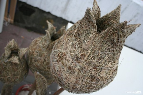 У Луцьку збирали дитячі мрії та вчили грати рок