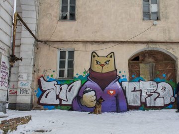 Ланцюг єдності та візок «кришталевій» жінці. Добрі новини Волині