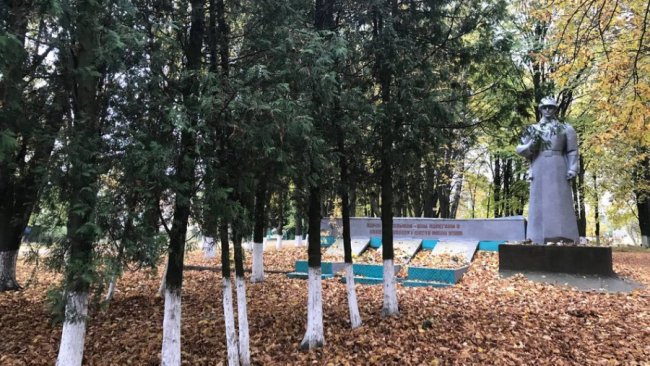 На Волині школярі збирали каштани на пам’ятник воїнам АТО/ООС.ФОТО.ВІДЕО