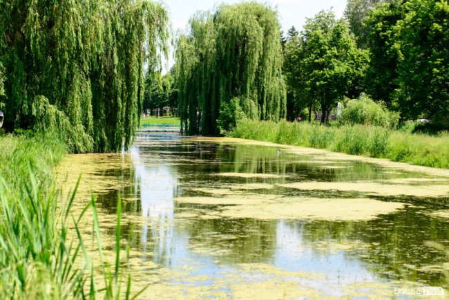 Літній день у центральному парку Луцька. ФОТОРЕПОРТАЖ