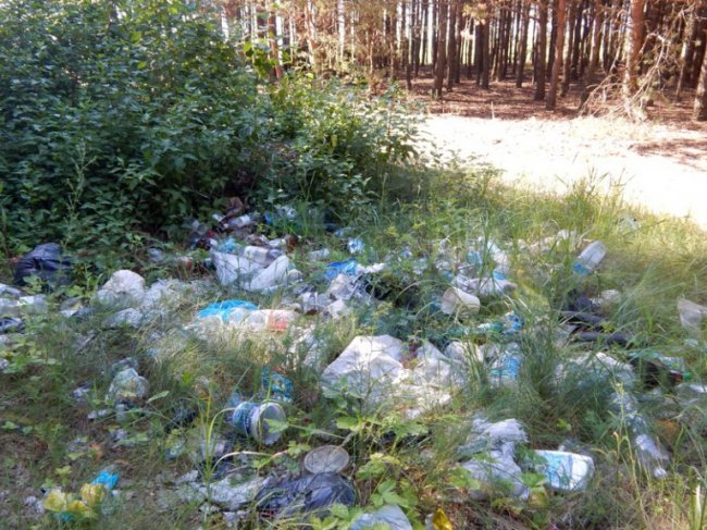 Вандали перетворюють волинські ліси на сміттєзвалища