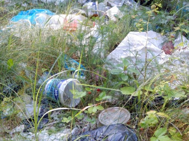 Вандали перетворюють волинські ліси на сміттєзвалища