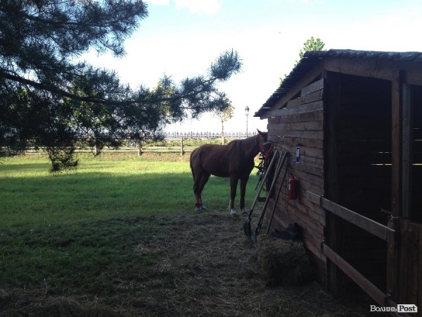 На вихідні -  у «Межигір'я». ФОТО 