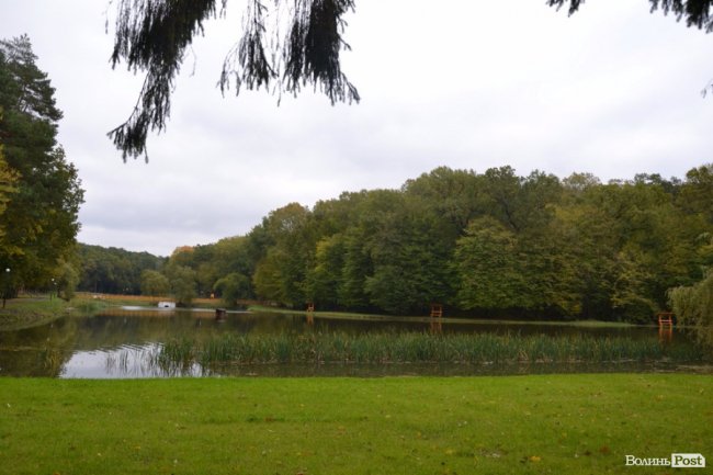 Краса воротнівського лісу: у «Малій Швейцарії» відкрили центр для юних лісівників 