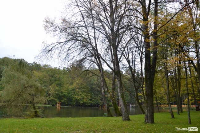 Краса воротнівського лісу: у «Малій Швейцарії» відкрили центр для юних лісівників 