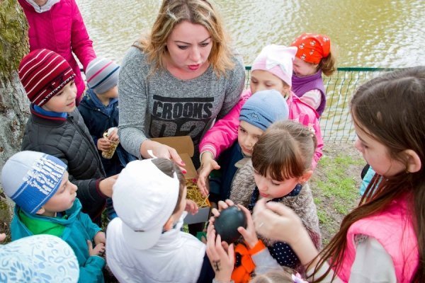 У Луцькому зоопарку дітлахи знайшли загублене яйце. ФОТО