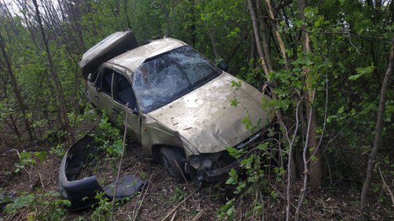 Під Луцьком автівка зробила «сальто» і злетіла в кущі. ФОТО