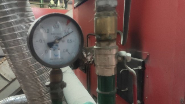 На Волині для економії бюджетні заклади опалюють тріскою енергетичної лози. ВІДЕО