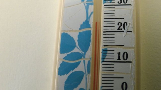 На Волині для економії бюджетні заклади опалюють тріскою енергетичної лози. ВІДЕО