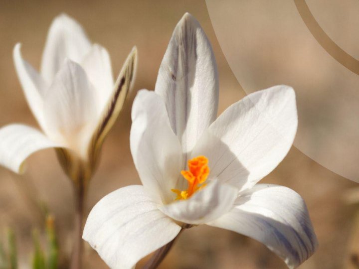 Погода в Луцьку та Волинській області на завтра, 24 березня