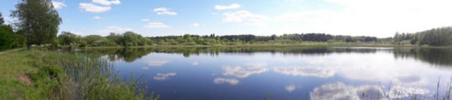 Казкові краєвиди Цуманської пущі. ФОТО