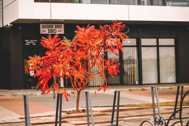 Атмосферні фото осені у луцькому «Сіті Парку»