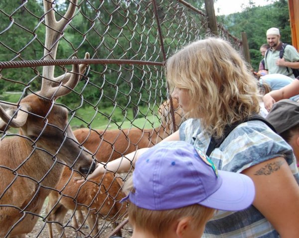 На Волині працюватиме літній табір для дітей від 2 до 5 років
