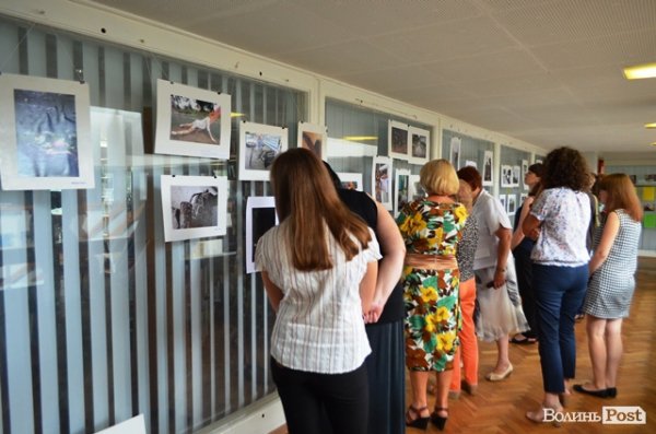 У Луцьку презентували виставку фоторобіт «Стереотип». ФОТО