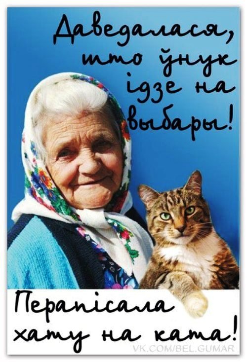 Бабуся і кіт: фотожабоманія триває. ФОТО