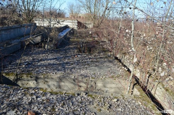 Фото з  місця трагедії  луцьких роуп-джамперів