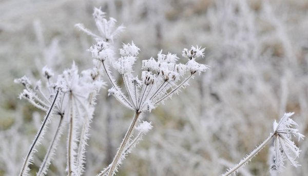 Волинь в льодяному тумані. ФОТО