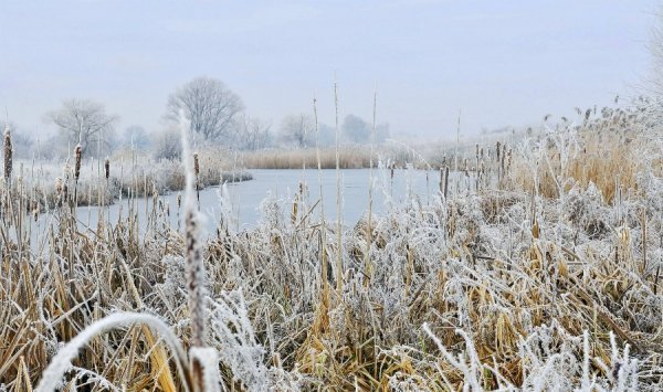 Волинь в льодяному тумані. ФОТО