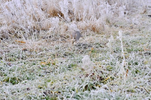 Волинь в льодяному тумані. ФОТО