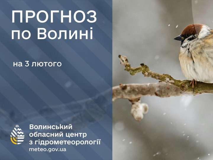 Якою буде погода у Луцьку та на Волині у вівторок, 3 лютого