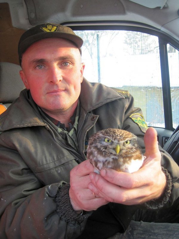 На Волині врятували рідкісного птаха