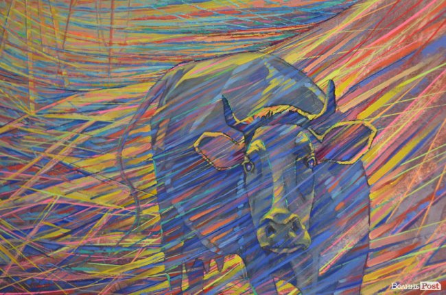 «Надихає саме життя»: у Луцьку відкрили яскраву виставку картин. ФОТО